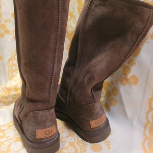 Classic Tall Ugg Boots- Brown, Size 8